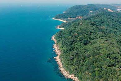 Tech Stocks Linked to Bitcoin Battered as Strategy Nears Danger Threshold: What's Happening and What it Means for Crypto